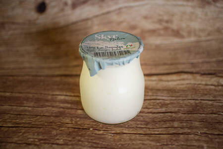 yogourt vache Skyr nature 140 g BIO