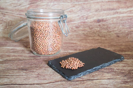 lentille brune de montagne  BIO
