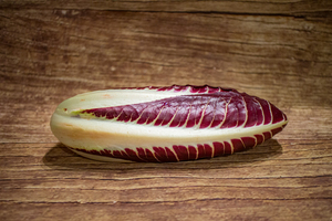 Chicorée rouge rosetta  BIO