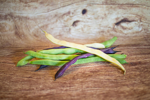 haricot vert  BIO