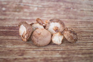 Shiitake  BIO
