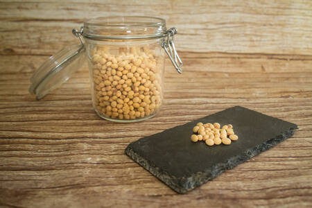 Fève de soja 500 g BIO