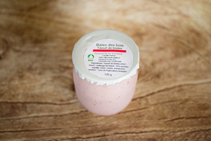 yogourt brebis baies des bois 120 g BIO